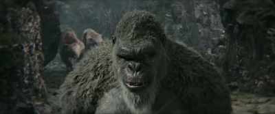 [creatures growling] - Godzilla x Kong: The New Empire