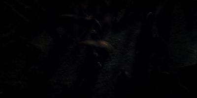 [creatures screeching] - Lost in Space
