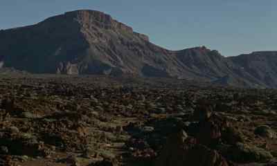 Creatures who sit and wait. - One Million Years B C