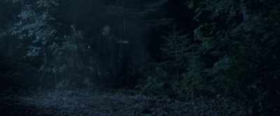 [crickets chirp] - The Girl on the Mountain