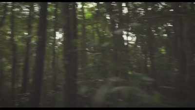 (crickets chirping) - Puzzle Box