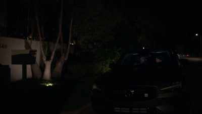 [crickets chirping] - Alone in the Dark