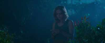 [crickets chirping] - The Bayou