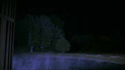 [crickets chirping] - Bad CGI Gator