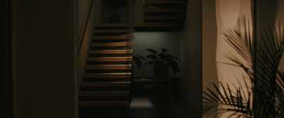 [crickets chirping] - Intrusion