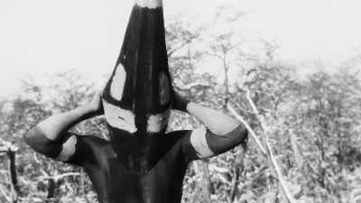 (CRICKETS CHIRPING) - Exterminate All the Brutes