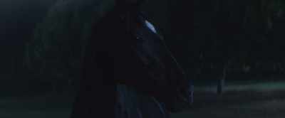 [crickets chirping] - Black Beauty