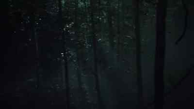 [Crickets chirping] - Salem