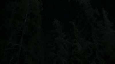 [crickets] - Cosmos: Possible Worlds