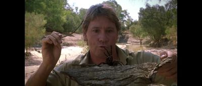 Crikey - The Crocodile Hunter: Collision Course
