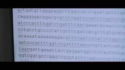 -CRISPR is actually clustered - Human Nature