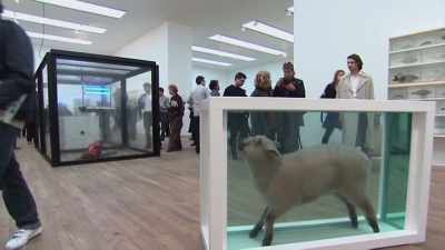 CRÍTICO - Blurred Lines: Inside the Art World