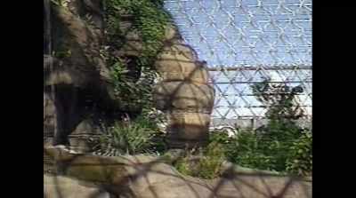 ‐ Critics say these violations - Spaceship Earth