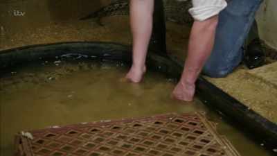 Crocodile meat,
it is so high in protein. - Britain's Tiger Kings - On the Trail with Ross Kemp