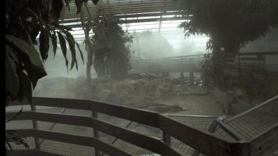 Crocodiles have been introduced into this brooding jungle - Cave of Forgotten Dreams