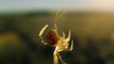 crossing the globe, - Super/Natural