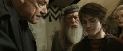 CROUCH: The Hungarian Horntail. - Harry Potter and the Goblet of Fire