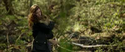 [Crow cawing] - The Wolf and the Lion