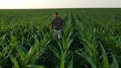 [crow cawing] - Food and Country