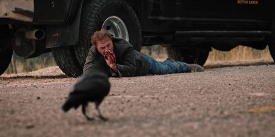 (CROW CAWING) - Yellowstone