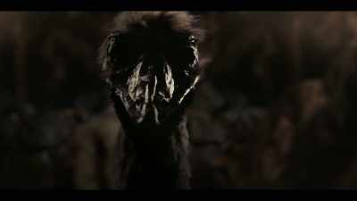 (crowd booing) - The Emu War
