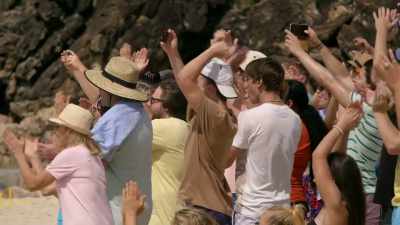 [ Crowd cheering ] - Reef Break