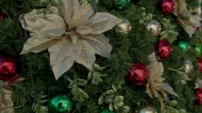 [crowd cheering] - A Joyous Christmas