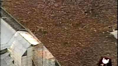 (CROWD CHEERING) - Woodstock 99: Peace Love and Rage