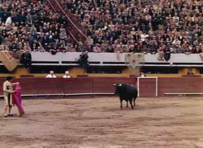 - [Crowd] Olé!
- Toro. - Blood and Sand