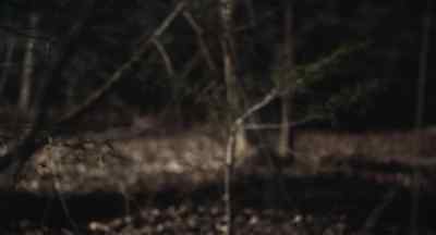 (crows cawing)
(footsteps on dead leaves) - George A. Romero's Resident Evil