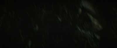 (crows cawing) - Sunrise