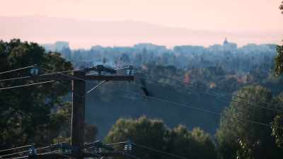 [crows cawing] - It’s Quieter in the Twilight
