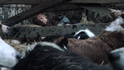 (Rooster crows, hen clucking) - Game of Thrones
