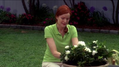 (crying)
YES, THEY ARE, AREN'T THEY? - Desperate Housewives
