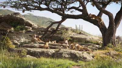 (CUBS LAUGHING) - The Lion King