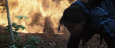 Cueing another. - The Hunger Games