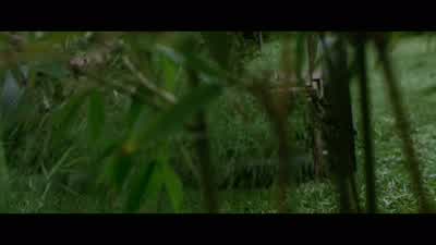 Cullen, you copy? - Point Break