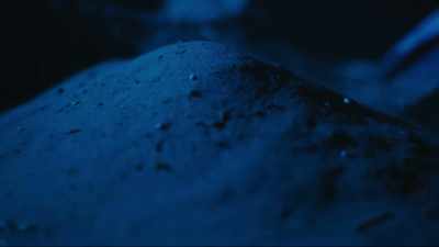 Cumber says he drove back
to their apartment - Buried In The Backyard