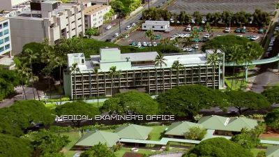 CUNHA:
So, I've got prints and DNA - Hawaii Five-O