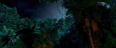 ¤hat ¤ith global ¤arming, logging, and regional conflict. . . - Tarzan