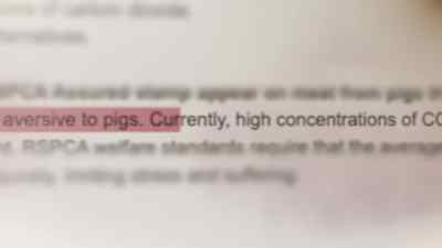 Currently, high concentrations of CO2 - Pignorant