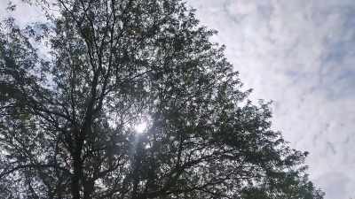 CURT: After she disappeared, - Buried In The Backyard