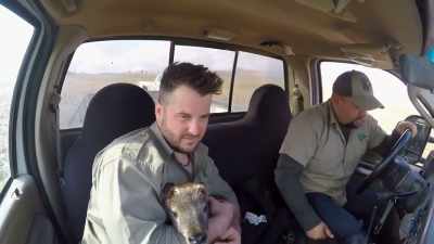 Curt: I'll get you like this and
then you can get it out there - Secrets of the Zoo