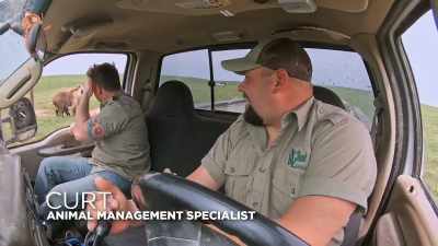 Curt: Immediately, he's back
to where he knows he's safe. - Secrets of the Zoo