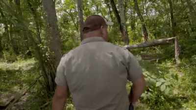 ♪ curt: Walking through
 the takin woods ♪♪ - Secrets of the Zoo