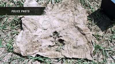 CURT: We believe
that the Cathy Beard - Buried In The Backyard