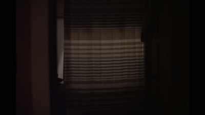 (curtain sliding) - Sometimes I Think About Dying