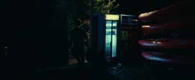 (customers chattering) - The Animal Kingdom