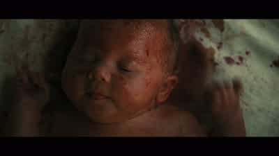Cut it down. - Carrie