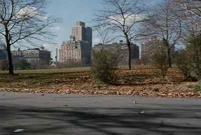 Cut them off at the zoo. - Hercules in New York
